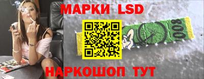 гидропоника Камышлов